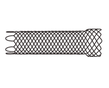 WallFlex colonic stent